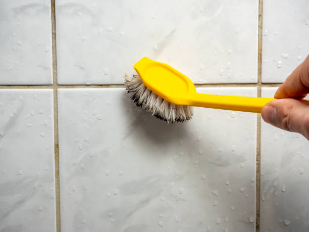 Best Black Mold Remediation in Portola, CA