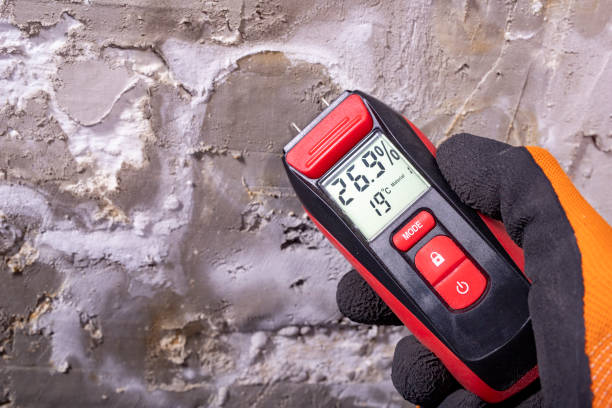 Best Post-Flood Mold Remediation in Portola, CA