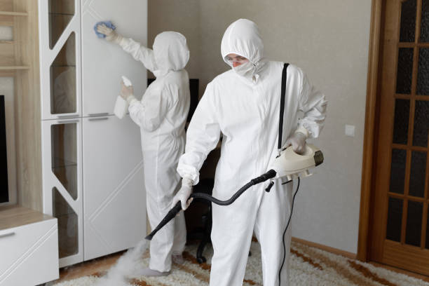 Trusted Portola, CA Mold Remediation Experts