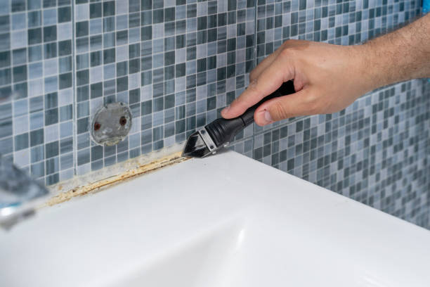 Best Emergency Mold Remediation in Portola, CA