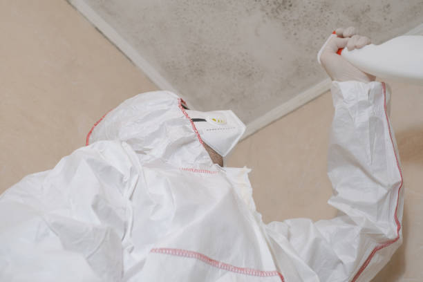 Best Residential Mold Remediation in Portola, CA