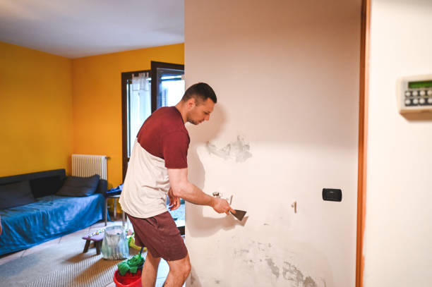 Best Attic Mold Remediation in Portola, CA